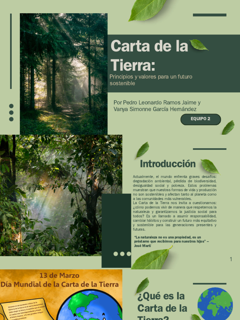 Principios de la Carta de la Tierra | PDF | Sustentabilidad | Entorno ...