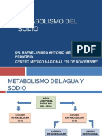 Metabolismo Del Sodio