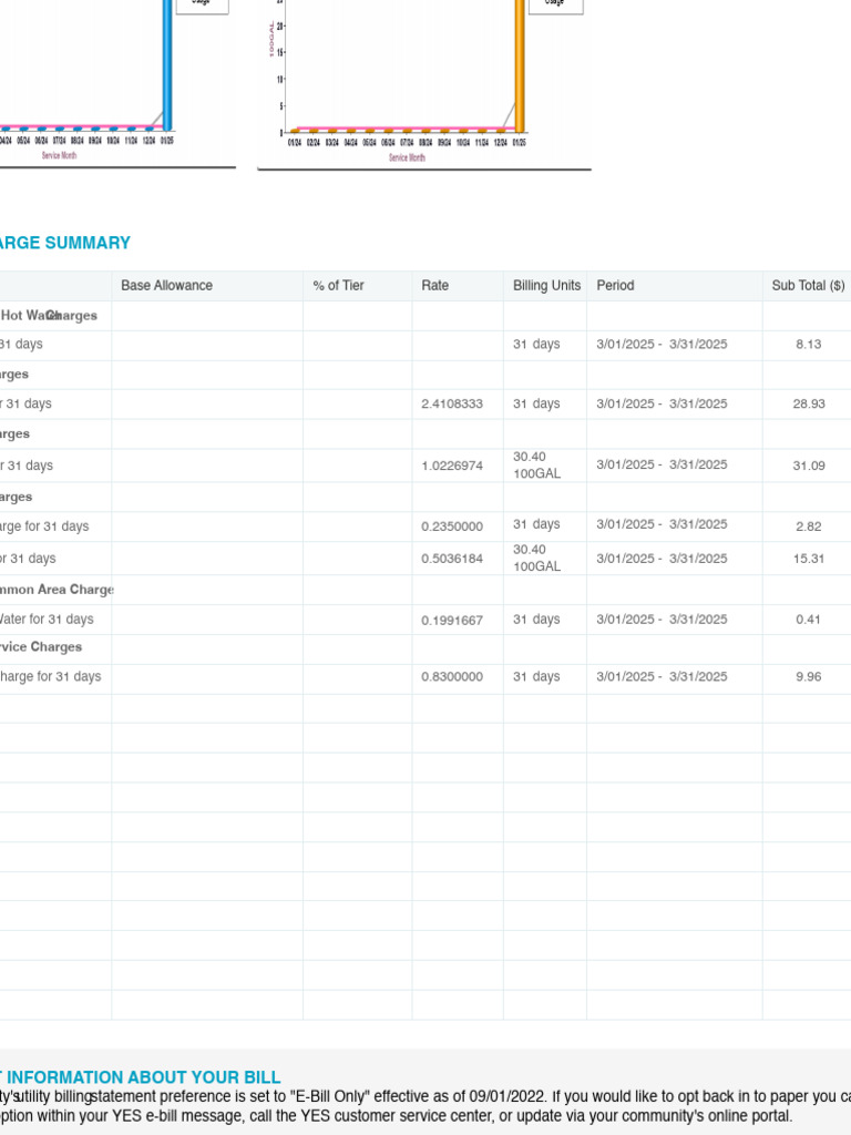 Utility Billing Summary for March 2025 | PDF