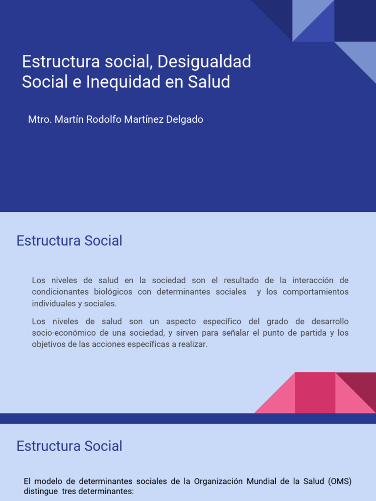 Desigualdad e Inequidad en Salud Social | PDF | Desigualdad social ...
