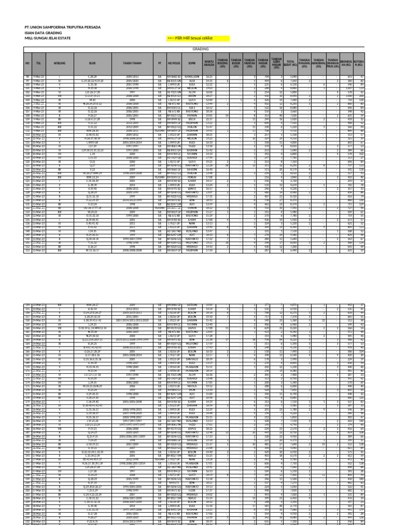 Laporan Harian Grading Tbs Maret 2023 | PDF