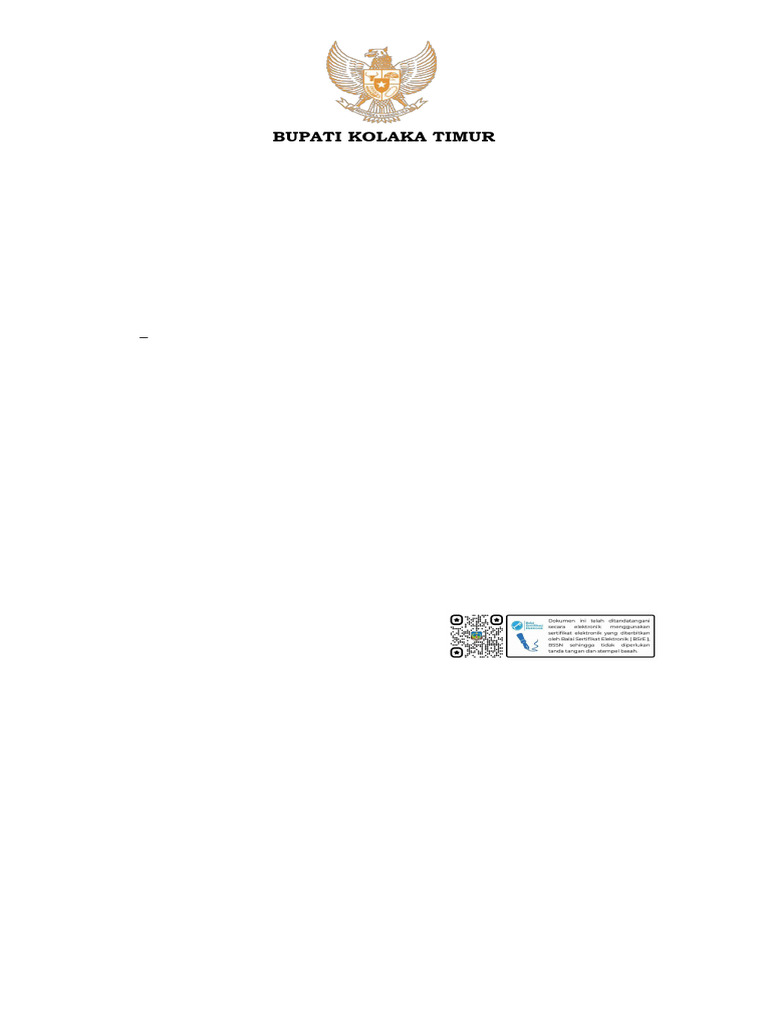 RAB Biaya Operasional Satgas MBG Kolaka | PDF