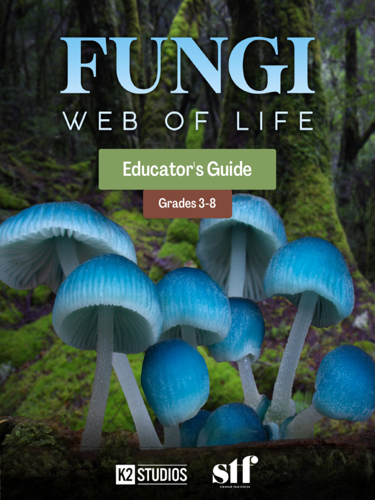 Fungi - Web of Life - English Book | PDF | Fungus | Mushroom