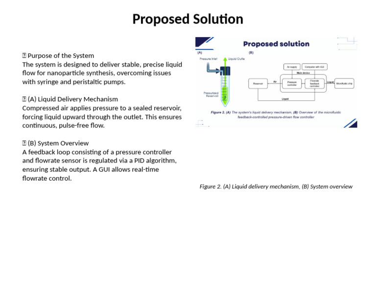 Stable Liquid Flow System for Nanoparticles | PDF