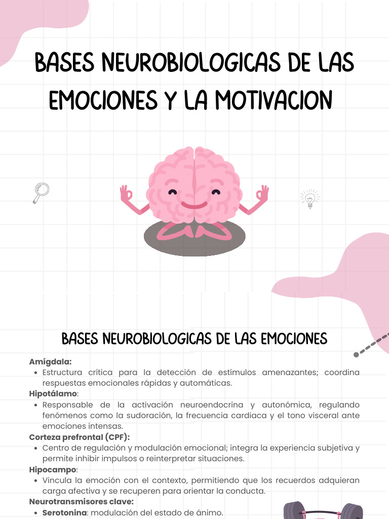 Semana 12 - Bases Neurobiológicas de Las Emociones y La Motivación ...