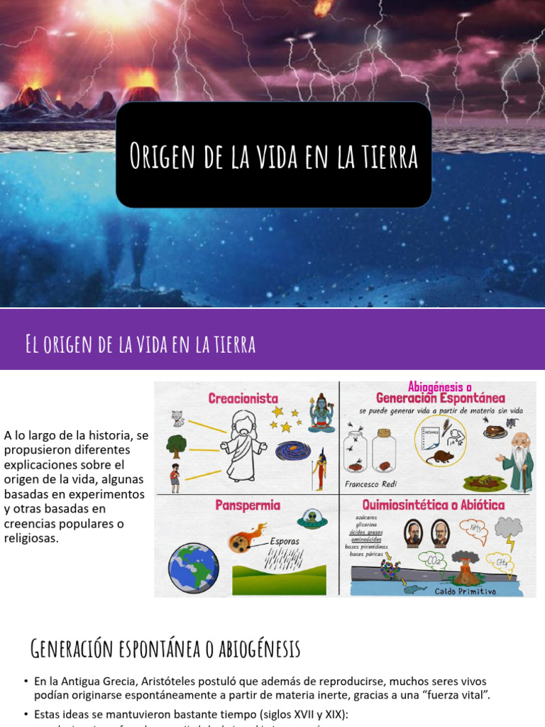 Teorías sobre el origen de la vida | PDF | Naturaleza | Biología