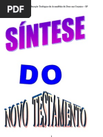 Ap. 2ºSem 2009 Basico