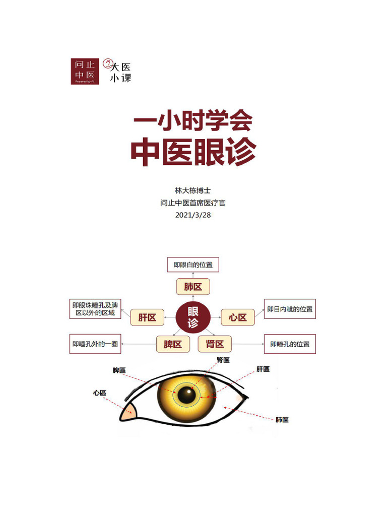 林大栋眼诊 | PDF