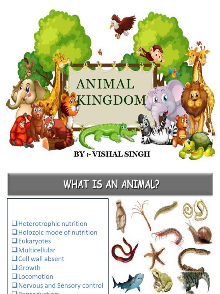 Animal Kingdom - Edited by Kanishk | PDF | Sponge | Mollusca