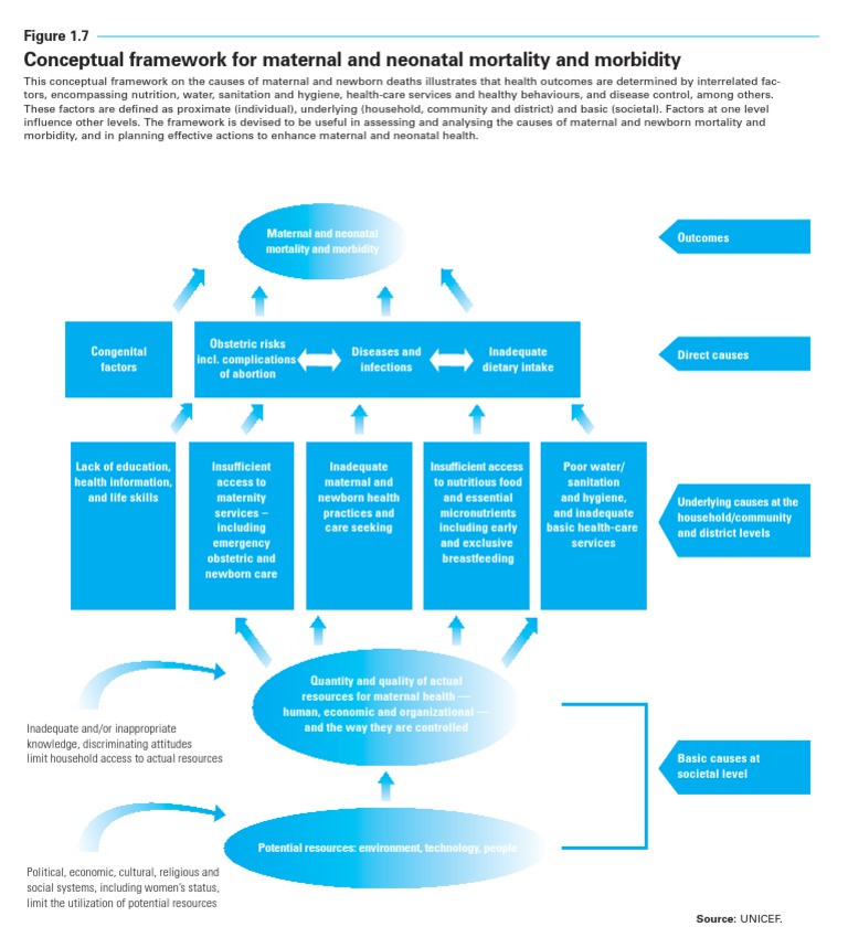 Framework for Maternal and Neonatal Health | PDF