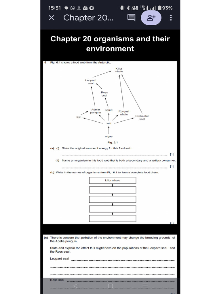 CH 20 | PDF