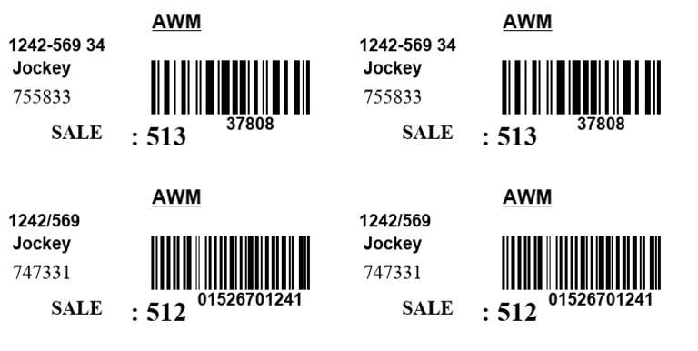 Barcode Format | PDF