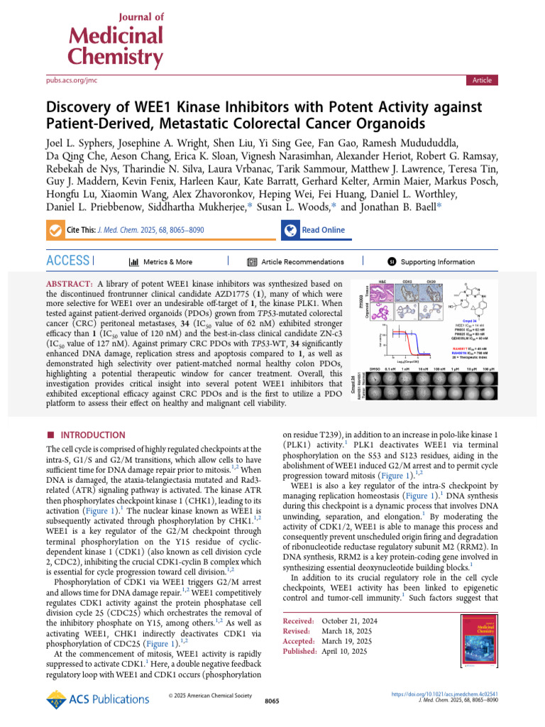 Discovery of WEE1 Kinase Inhibitors With Potent Activity Against ...