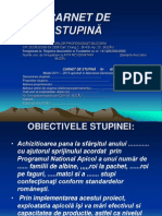 Carnet de Stupina