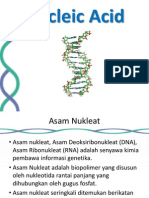 Nucleic Acid