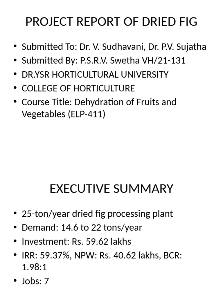 Dried Fig Processing Plan | PDF