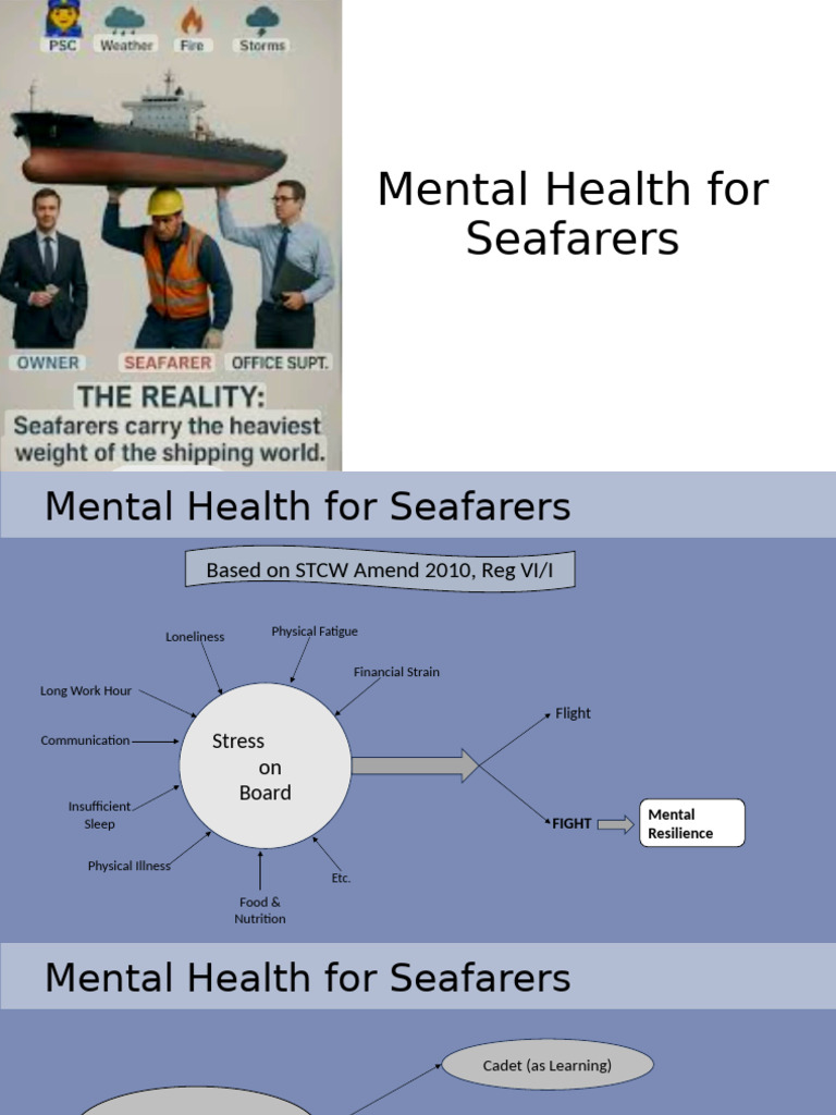 Mental Health | PDF