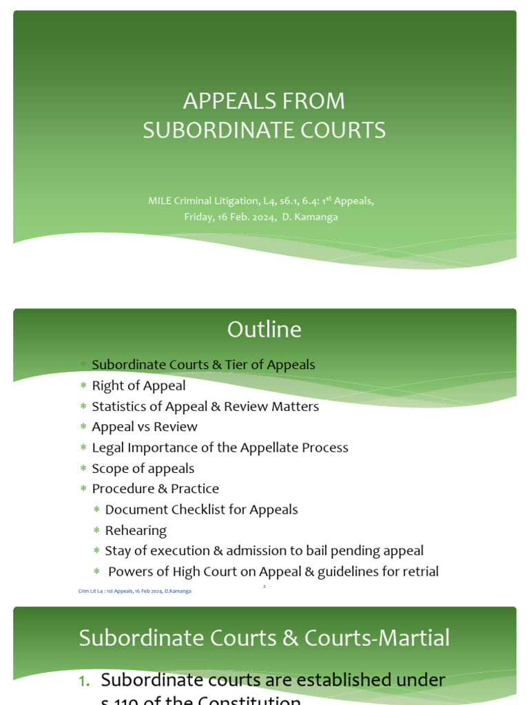 First Appeals in Criminal Litigation | PDF | Precedent | Appeal