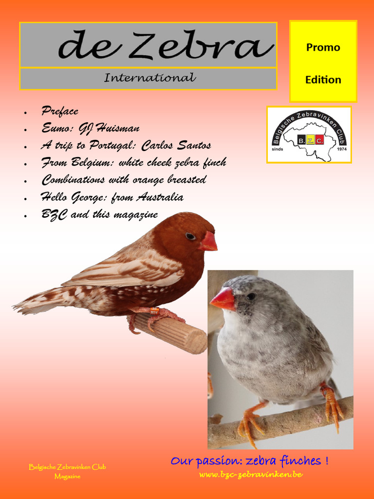 Zebra Finch Society Magazine Edition | PDF | Feather