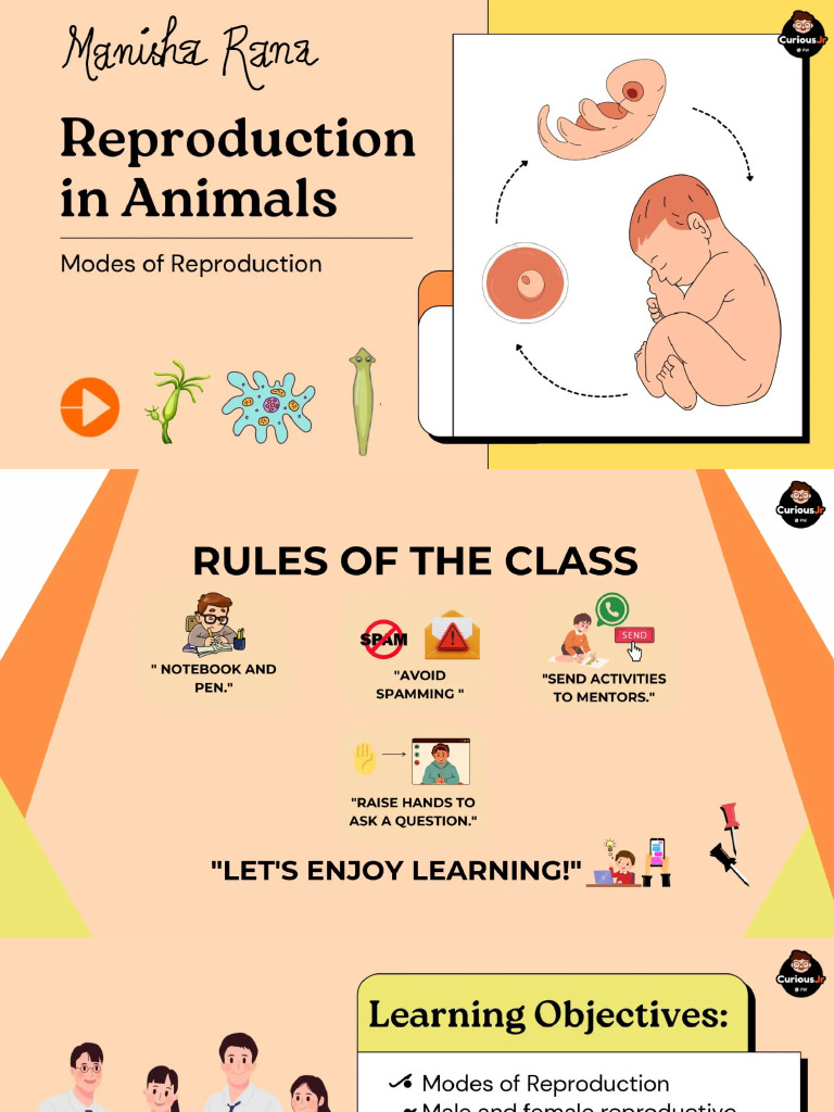 Reproduction in Animals | PDF