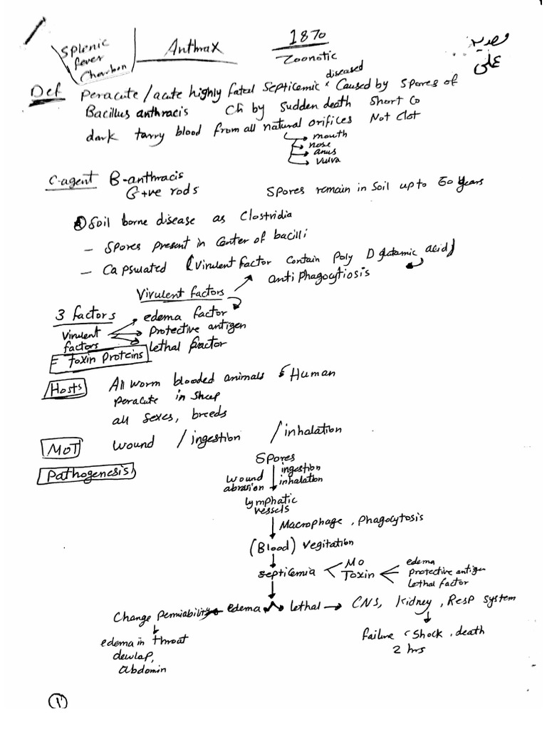 Document Scanning Overview | PDF