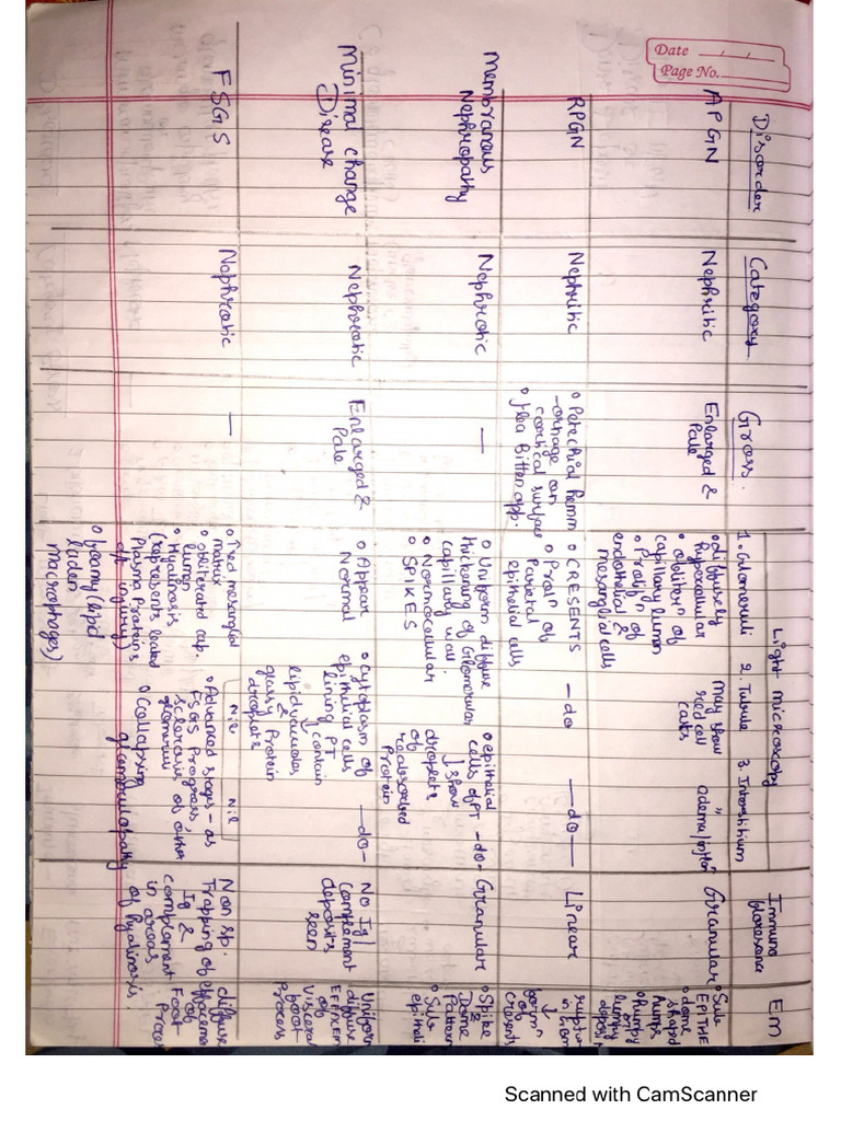 Renal Patho - Master Chart | PDF