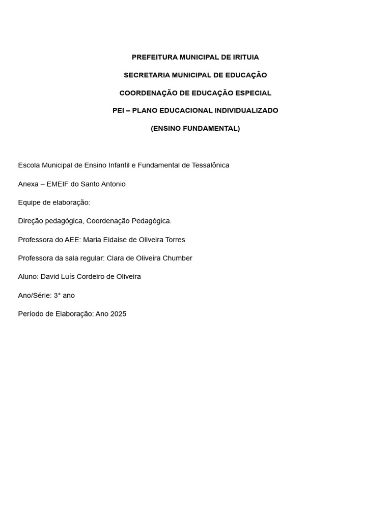 Plano Educacional Individualizado PEI 2025 | PDF | Pedagogia | Autismo