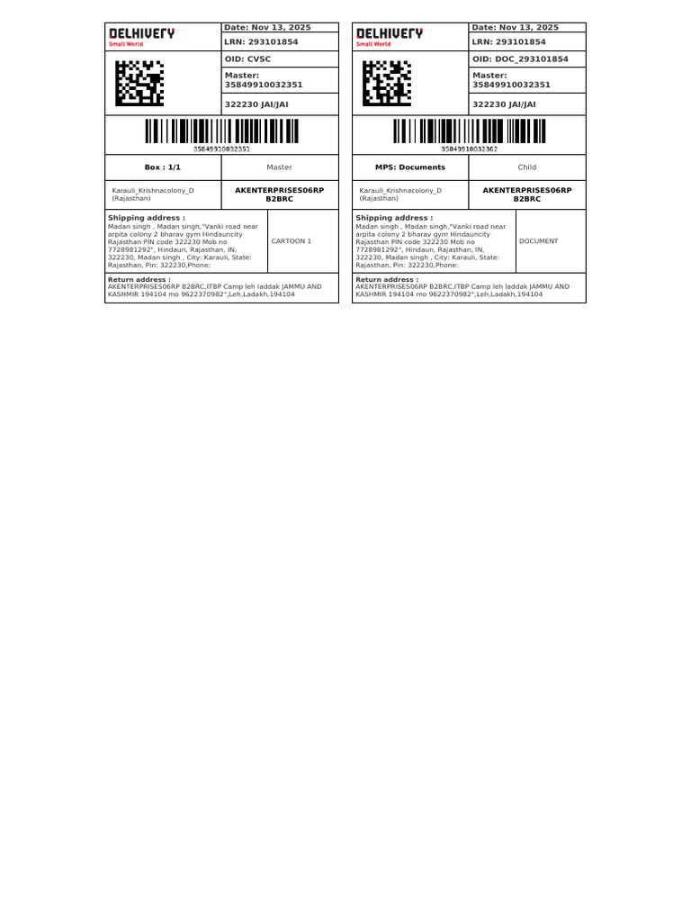 Shipping Document for Rajasthan Order | PDF