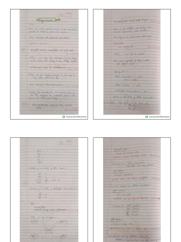 Snayu Sharira | PDF