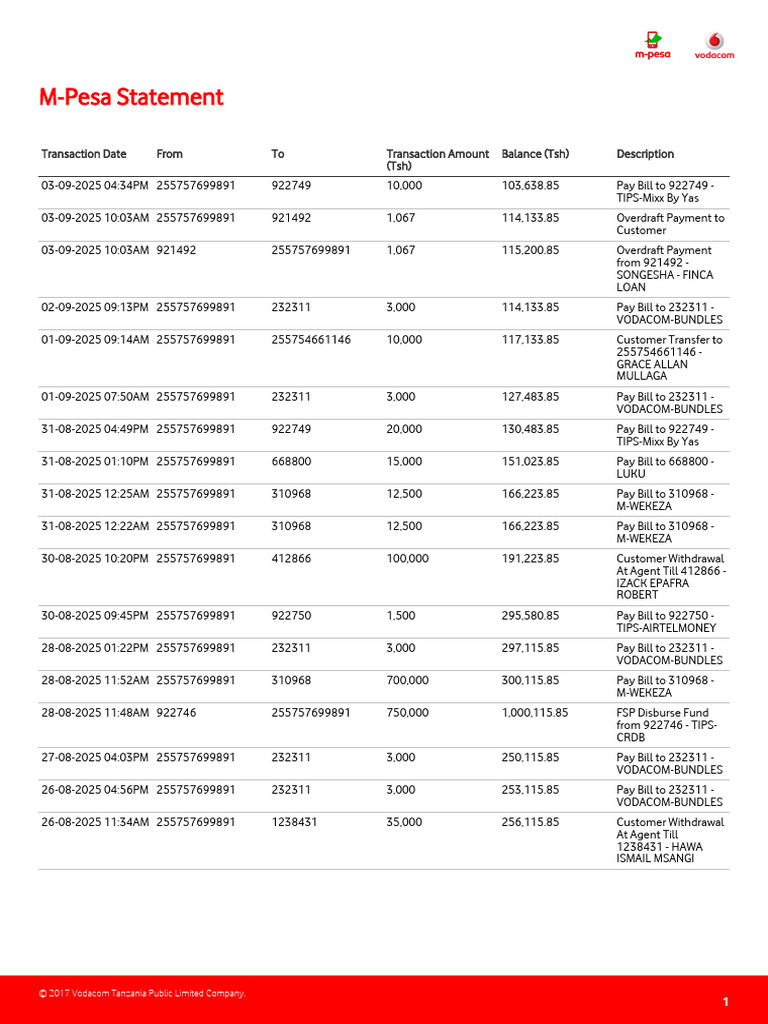 M-Pesa Transaction Statement Summary | PDF | Overdraft | Services ...