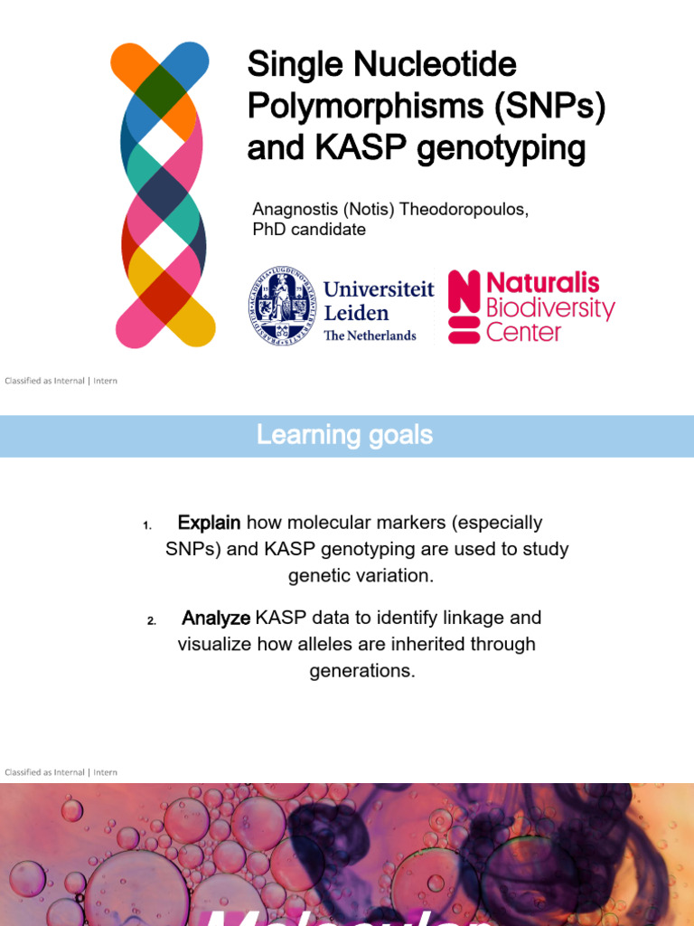 Kasp Presentation 2025 | PDF | Single Nucleotide Polymorphism | Life ...