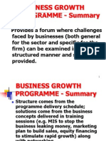 Business Growth PROGRAMME - Summary