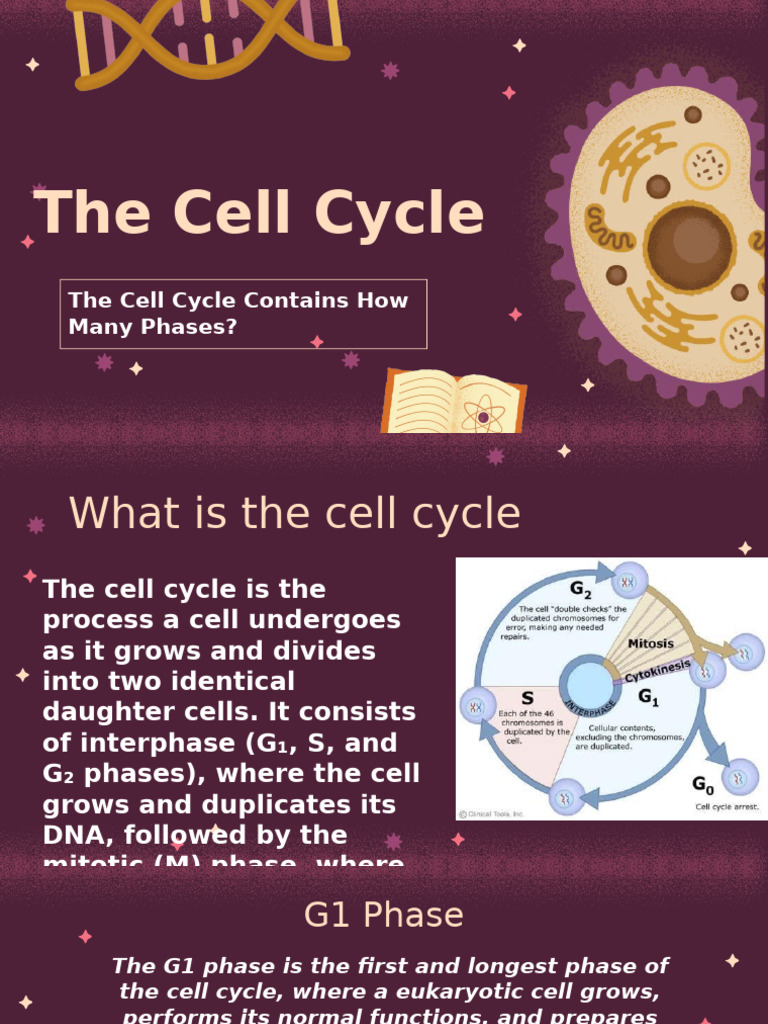 Anatomy and Physiology Major For College - Cell Biology - by Slidesgo | PDF