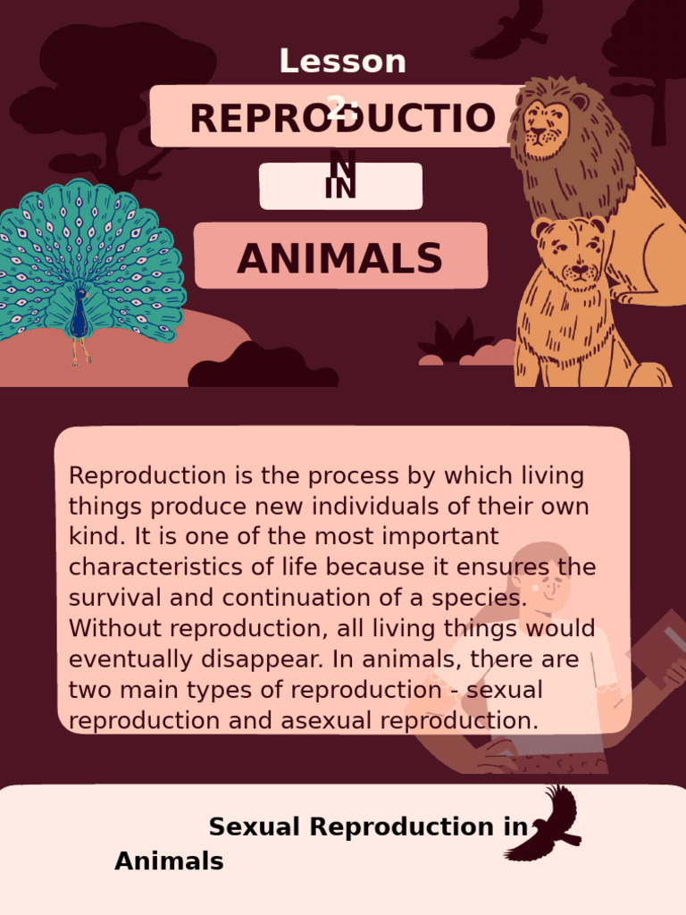 Animal Reproduction: Sexual vs Asexual | PDF | Sexual Reproduction ...