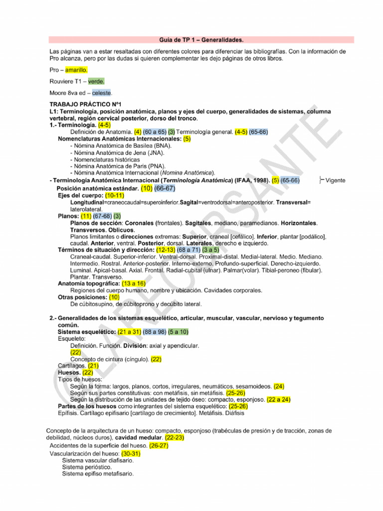 Guía TP1 | PDF