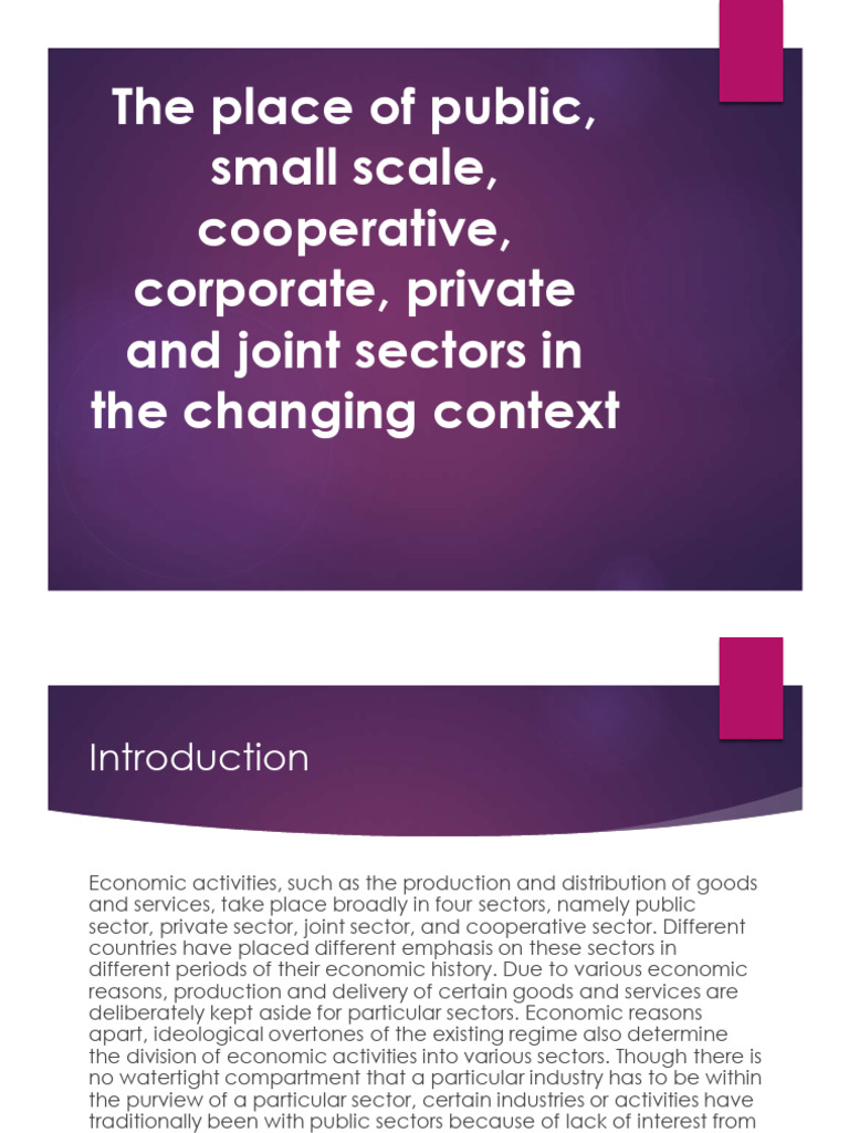 1.3 The Place of Public, Small Scale, Cooperative, Corporate, Private ...