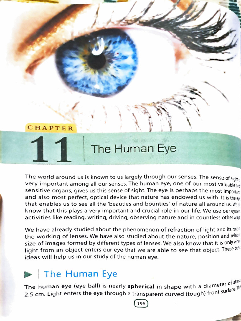 Human Eye Chapter PDF | PDF