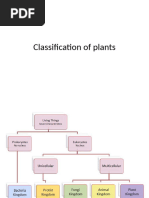 Classification of Plants for Class 9 | PDF | Plants | Seed