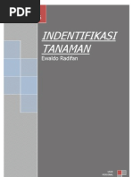 Download INDENTIFIKASI TANAMAN by Ewaldo Radifan SN95140058 doc pdf