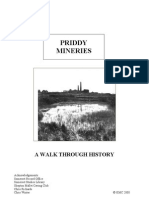 Priddy Mineries: A Walk Through History