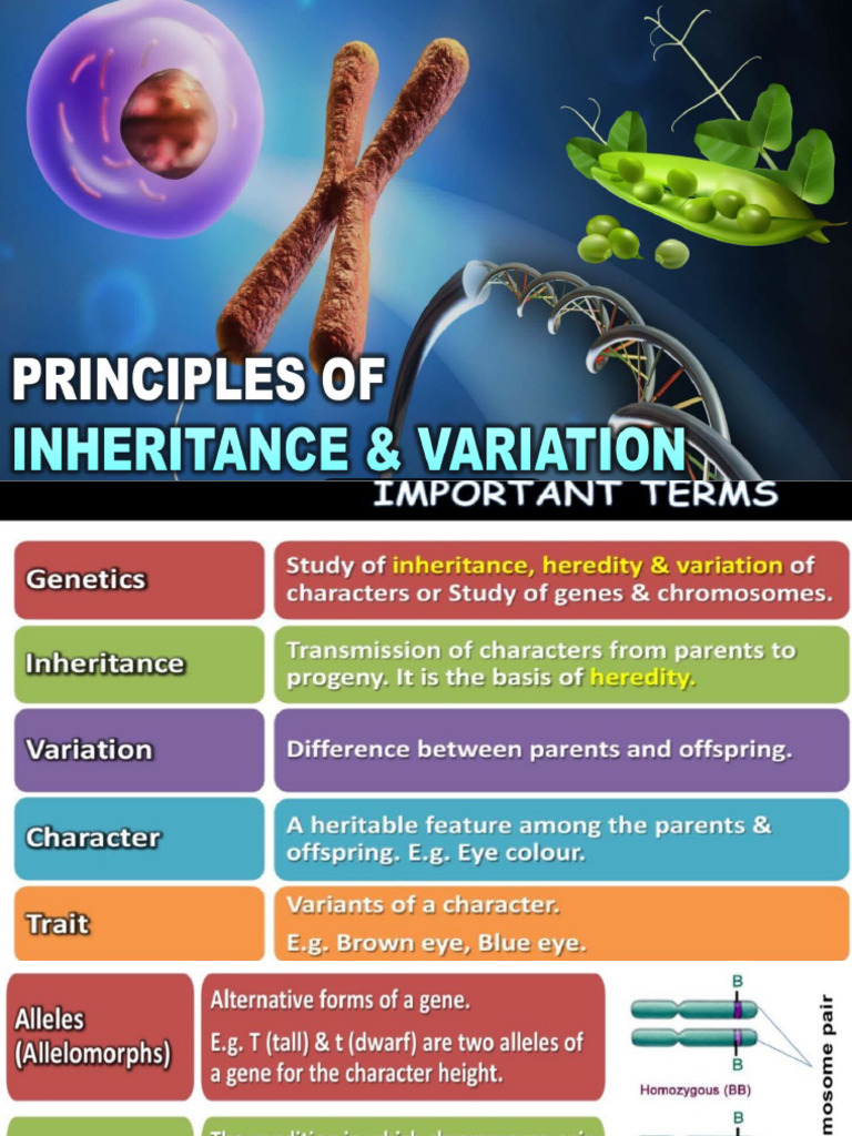 Heridity and Inheritance | PDF