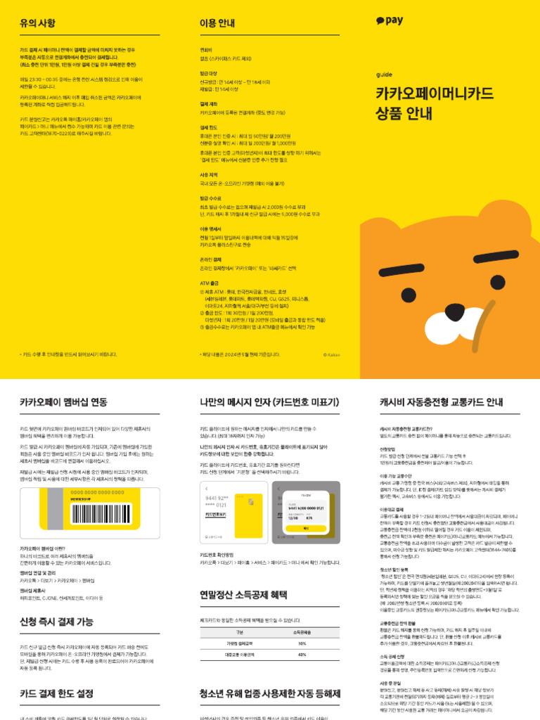 Paycard Brochure | PDF