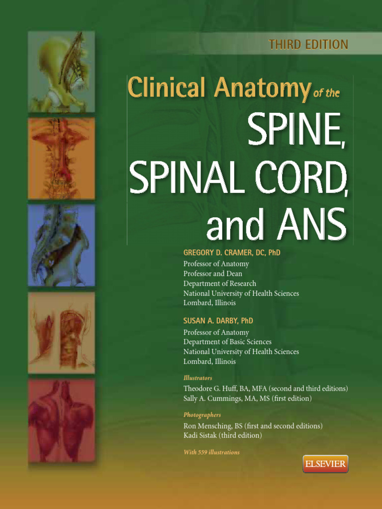 Clinical Anatomy of Spine Spinal Cord ANS PDF | PDF