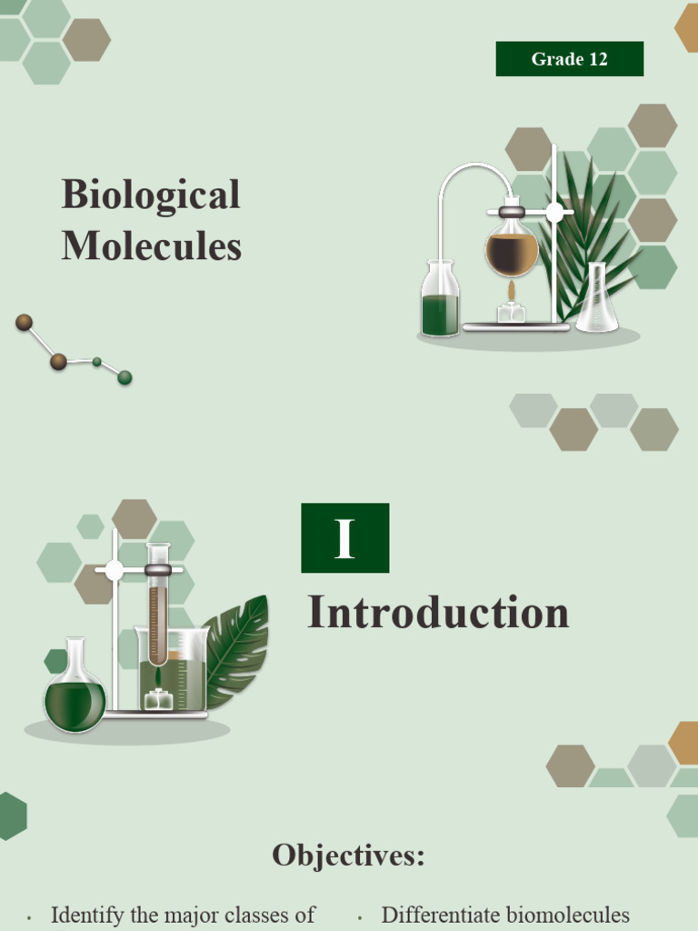 Understanding Biological Molecules | PDF | Biomolecules | Carbohydrates