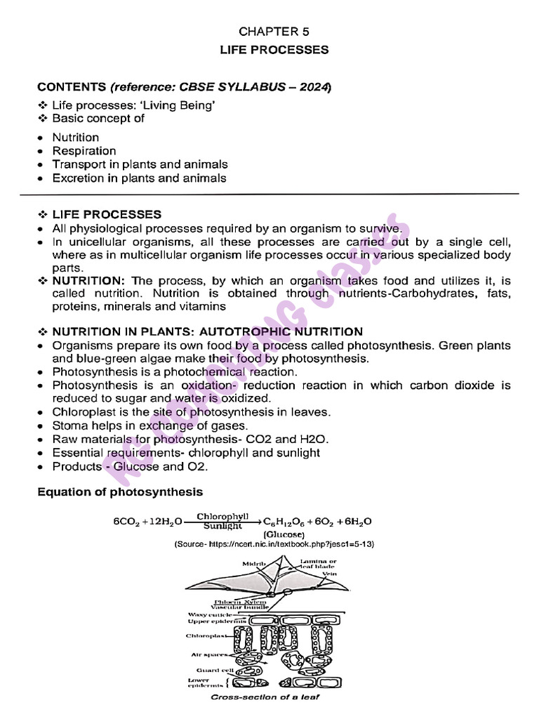 Life. Process Important Notes | PDF