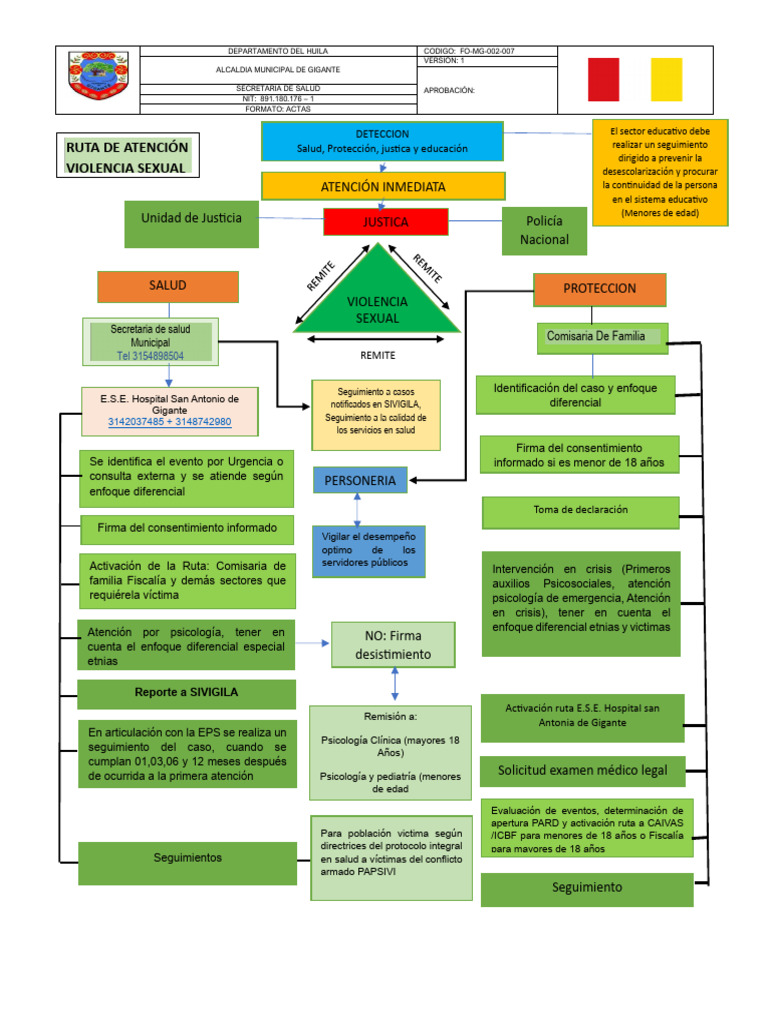 Ruta de Atención a Víctimas de Violencia | PDF | Hospital | Policía