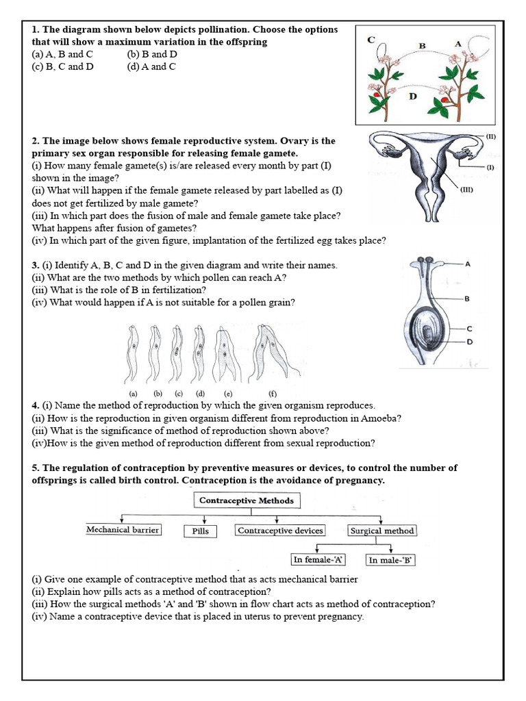 Reproduction and Carbon and Its Compound | PDF | Reproduction ...