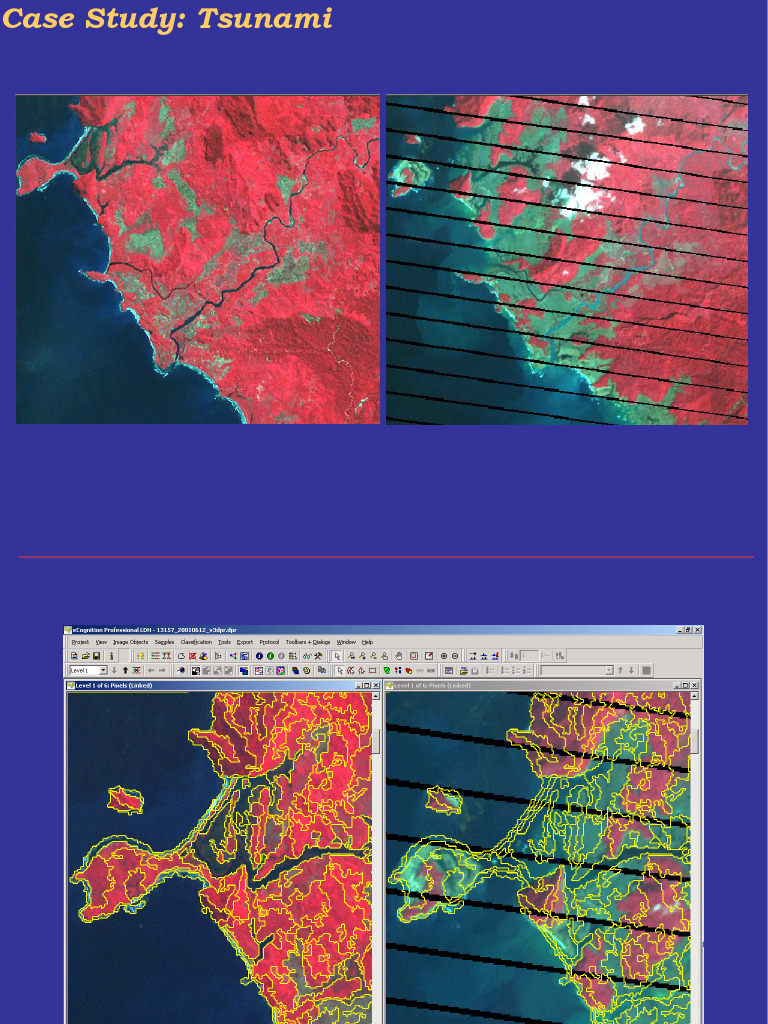 2004 Tsunami Case Study Presentation Pdf