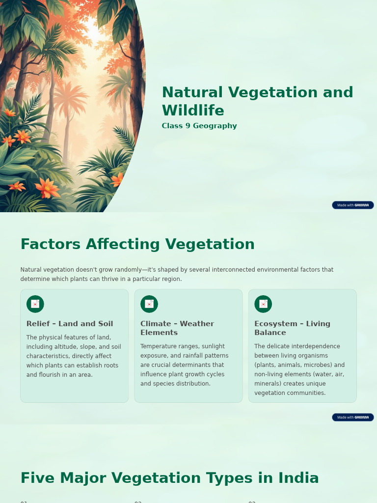 India's Natural Vegetation & Wildlife Guide | PDF | Forests | Trees