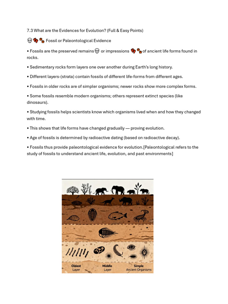 Evidence for Evolution Explained | PDF | Fossil | Homology (Biology)